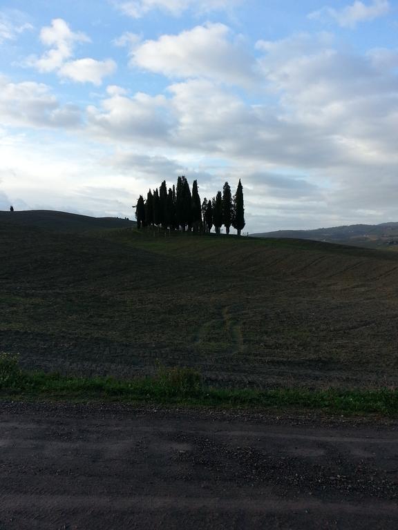 Ferienwohnung Passaggio In Val D' Orcia Torrenieri Exterior foto